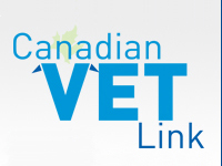 Canadian Vet Link