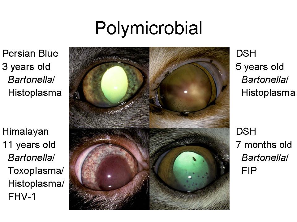 figure4